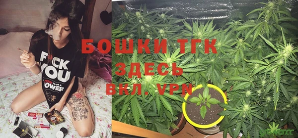 гидра Белоозёрский