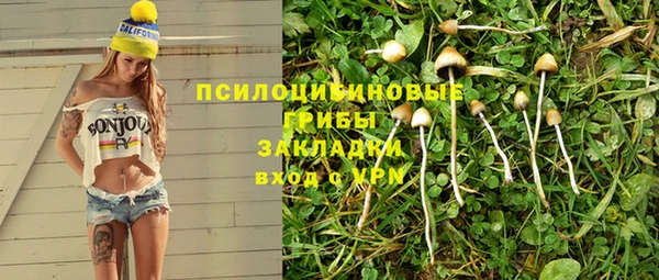 гидра Белоозёрский