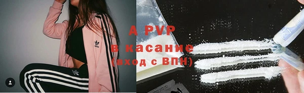 стафф Белокуриха
