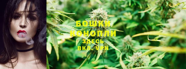 гидра Белоозёрский